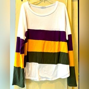 Mardi Gras Purple Gold and Green striped sweater 2x